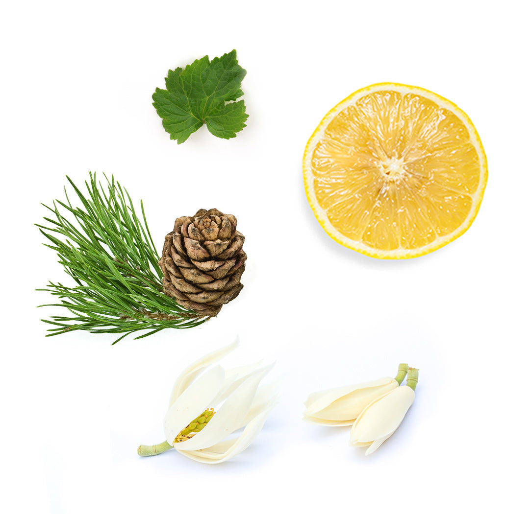 shinrin yoku 10 ml whats inside 1085x1050 eu