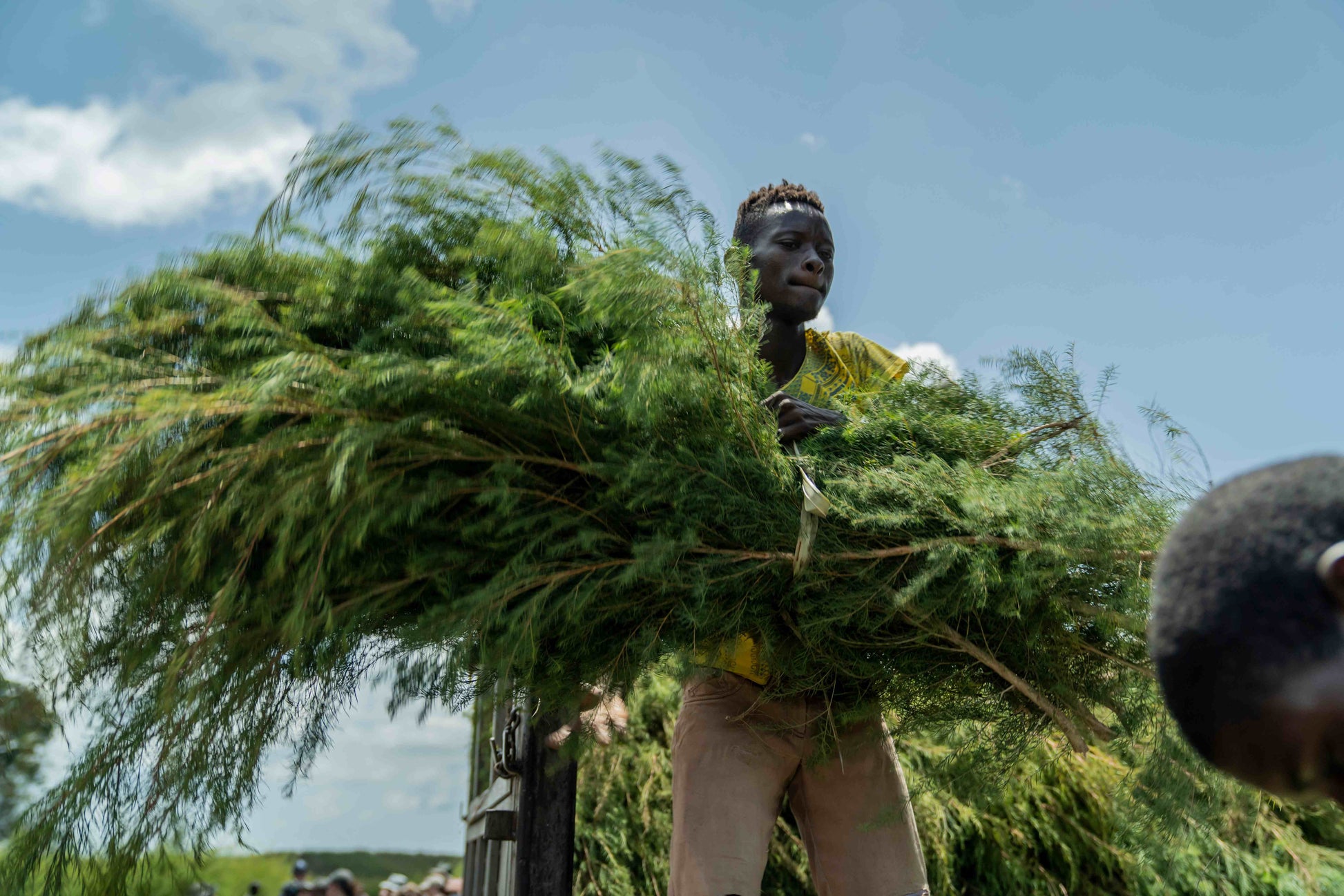 3X Impact Tee Tree, Kenya 3