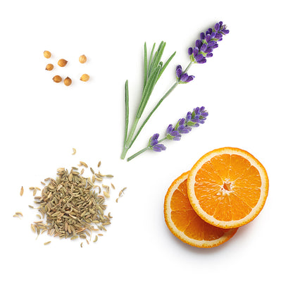 adaptiv Kapsel doTERRA Inhaltsstoffe