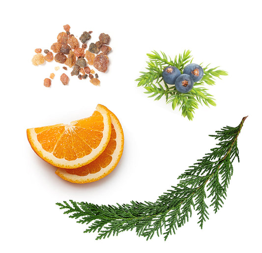 Forest Breeze naturverbundene Mischung 5 ml - doTERRA