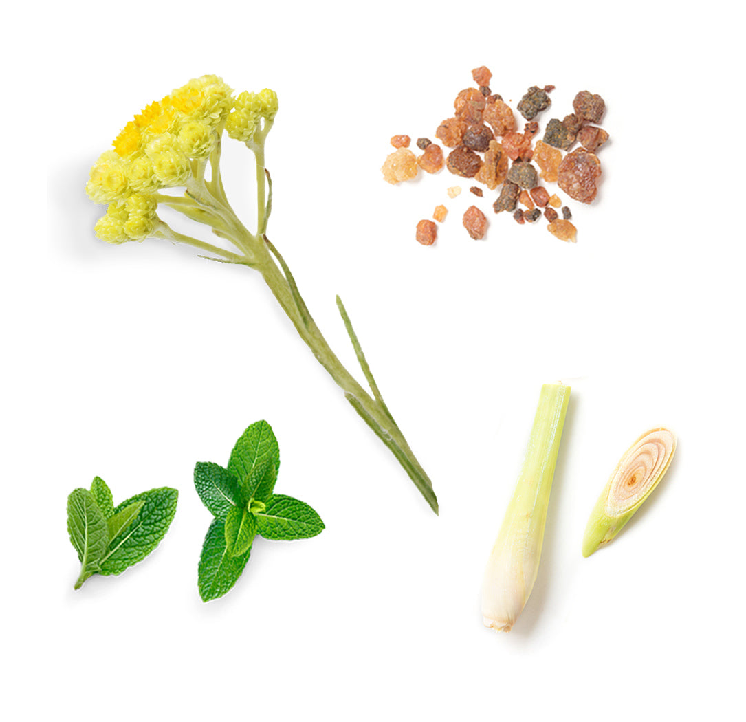 doTERRA sun Lippenbalsam