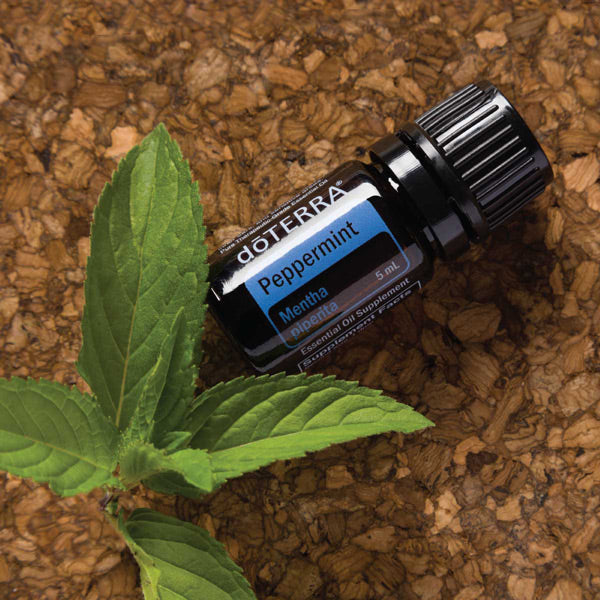 Pfefferminze doTERRA