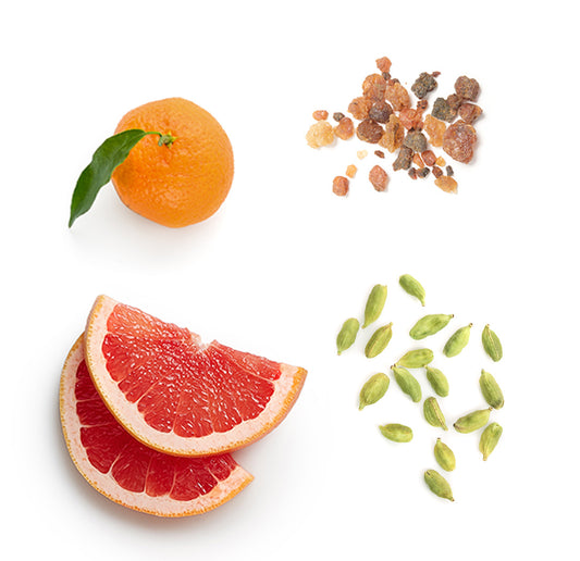 doTERRA air-x ätherische Ölmischung was ist enthalten