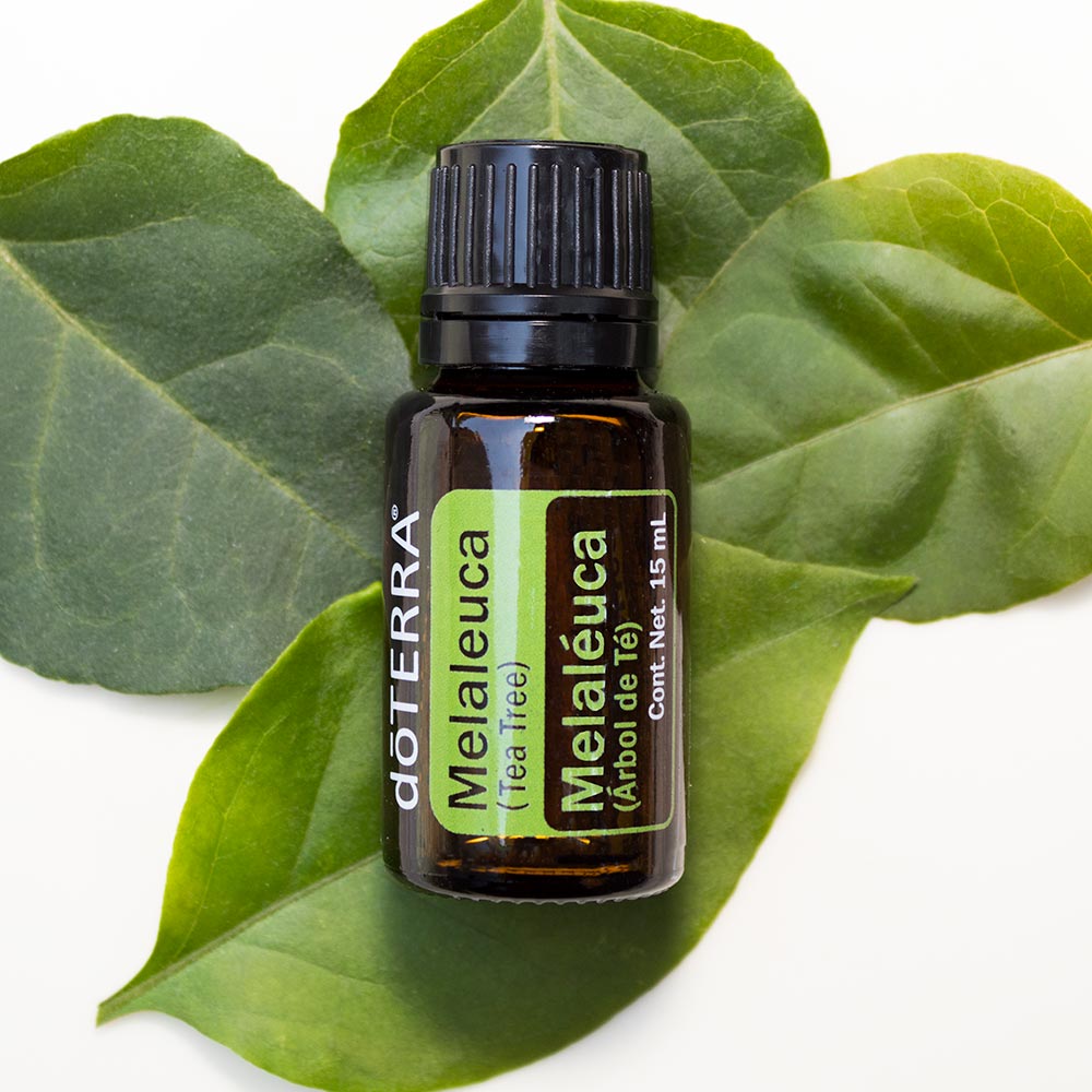 doTERRA Teebaum (Tee tree) ätherisches Öl 15 ml