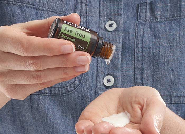 doTERRA Teebaum (Tee tree) ätherisches Öl 15 ml