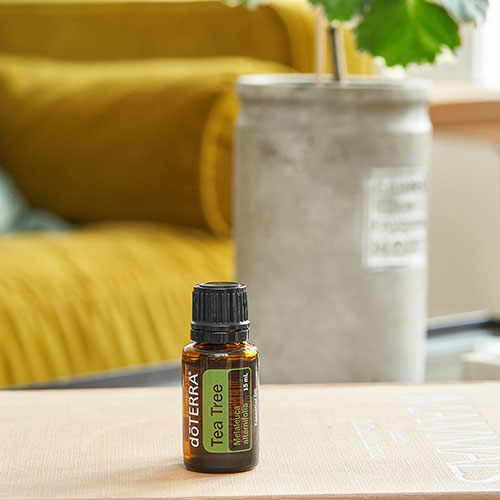 doTERRA Teebaum (Tee tree) ätherisches Öl 15 ml