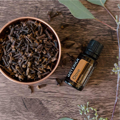 doTERRA Gewürznelke ätherisches Öl - clove 15 ml