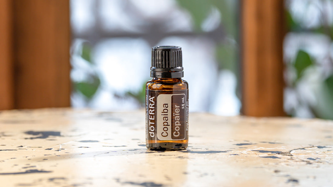 doTERRA Copaiba Öl 15 ml