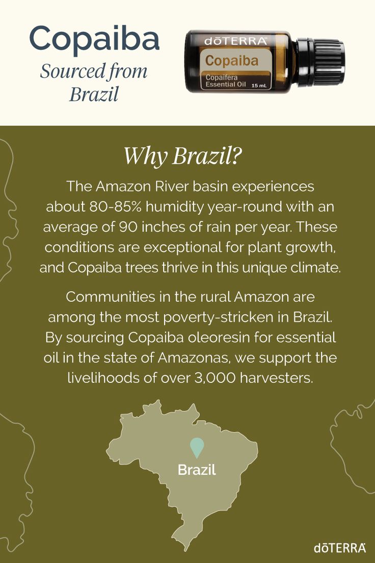 doTERRA Copaiba Öl 15 ml Brazil Beschaffung