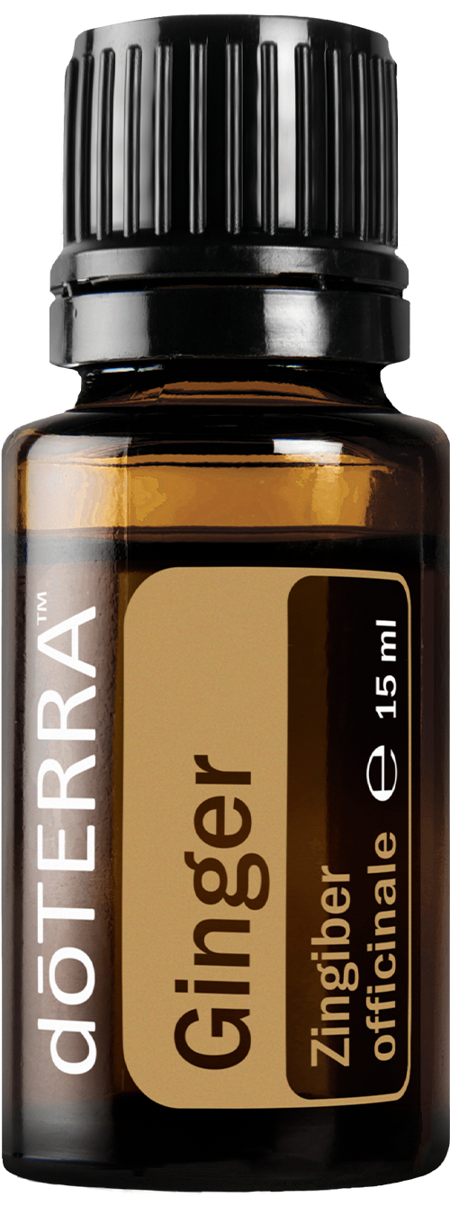 doTERRA Ingwer - ginger 15 ml