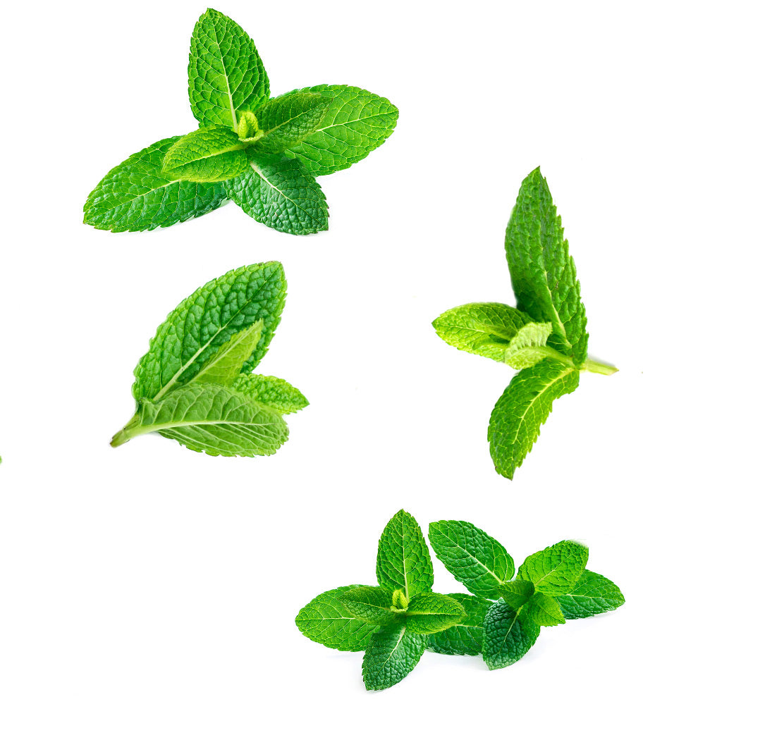 doTERRA supermint 15 ml ätherische Ölmischung was ist enthalten