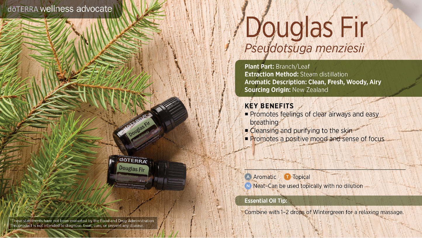 doTERRA Douglasie douglas fir