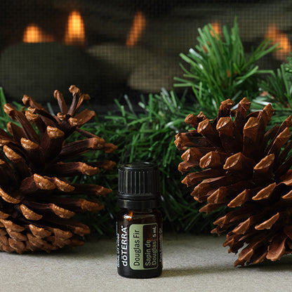 doTERRA Douglasie douglas fir