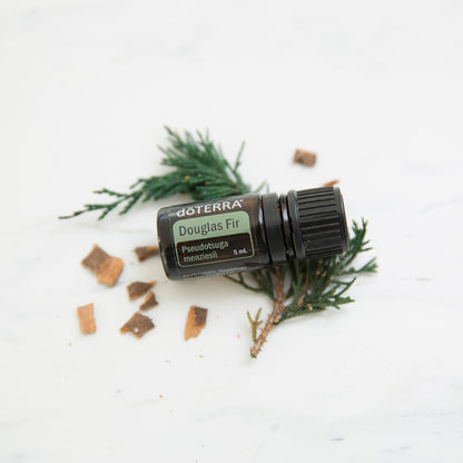 doTERRA Douglasie douglas fir