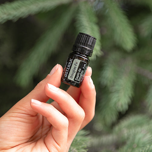 doTERRA Douglasie douglas fir