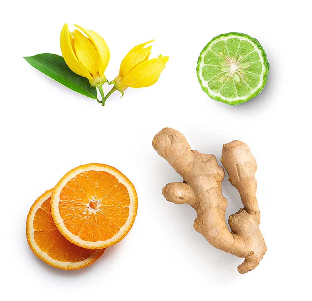 doTERRA passion ätherische Ölmischung 5 ml was ist enthalten