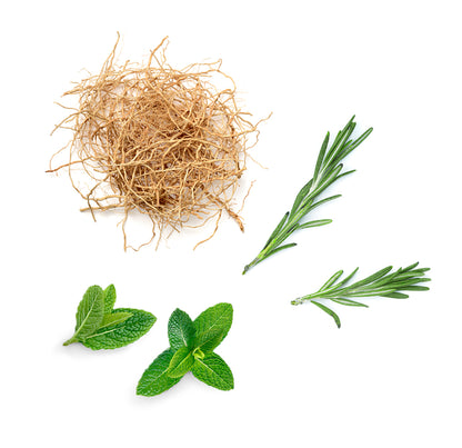 doTERRA thinker Inhaltsstoffe