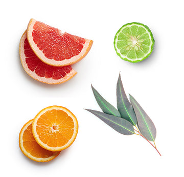Endless Summer (15ml) - Doterra