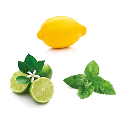 Mélange d’huiles Island Mint™ 15 ml - doTERRA
